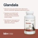Lab-v Glandala Wsparcie Gruczołów Okołoodbytowych i Przewodu Pokarmowego 90 Kapsułek