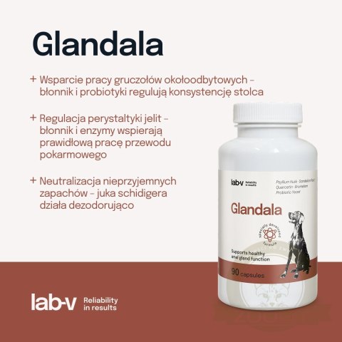 Lab-v Glandala Wsparcie Gruczołów Okołoodbytowych i Przewodu Pokarmowego 90 Kapsułek