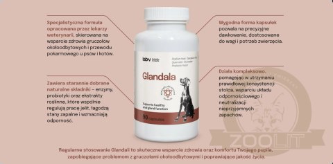 Lab-v Glandala Wsparcie Gruczołów Okołoodbytowych i Przewodu Pokarmowego 90 Kapsułek