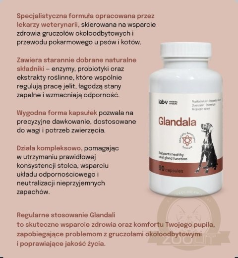 Lab-v Glandala Wsparcie Gruczołów Okołoodbytowych i Przewodu Pokarmowego 90 Kapsułek