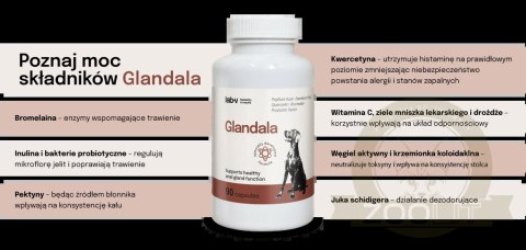 Lab-v Glandala Wsparcie Gruczołów Okołoodbytowych i Przewodu Pokarmowego 90 Kapsułek