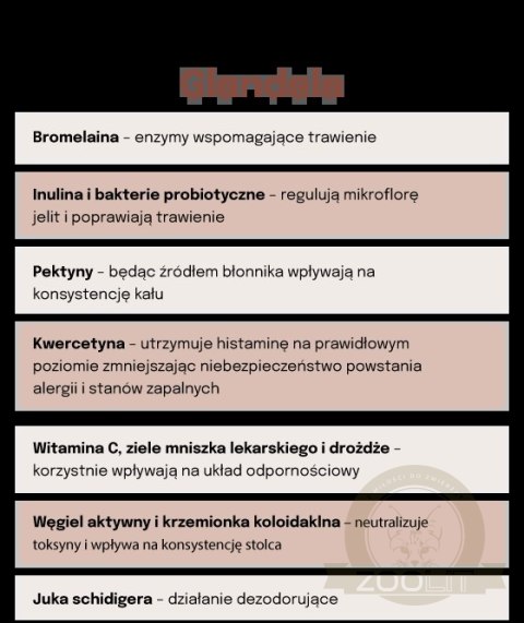 Lab-v Glandala Wsparcie Gruczołów Okołoodbytowych i Przewodu Pokarmowego 90 Kapsułek