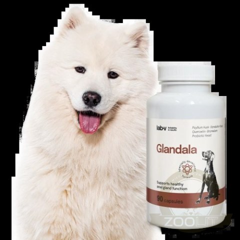 Lab-v Glandala Wsparcie Gruczołów Okołoodbytowych i Przewodu Pokarmowego 90 Kapsułek