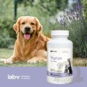 Lab-v Thyron - Wsparcie Prawidłowej Pracy Tarczycy dla Psów i Kotów 90 Kapsułek