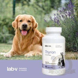 Lab-v Thyron - Wsparcie Prawidłowej Pracy Tarczycy dla Psów i Kotów 90 Kapsułek