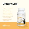 Lab-v Urinary Dog Wsparcie Przy Zakażeniu Dróg Moczowych U Psów 45 Kapsułek