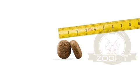 Osera Adult Optiness 12,5kg