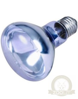 Trixie Neodymowa Żarówka Grzewcza 100W