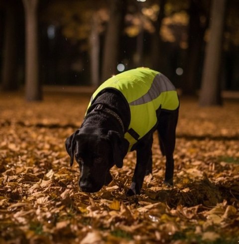 Zolux Kamizelka odblaskowa R.30 żółta