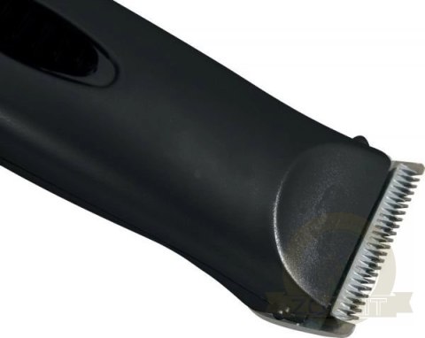 Zolux Zestaw Do Strzyżenia Bezprzewodowy