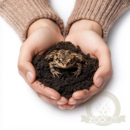 Aventerra Sweden Dendroy 4l - podłoże dla drzewołazów i żab nadrzewnych