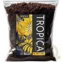 Aventerra Sweden Tropica Peat Soil 4l - torf drobny do terrarium