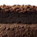 Aventerra Sweden Tropica Peat Soil 4l - torf drobny do terrarium