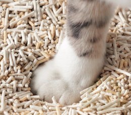 Cat Sand Love4pet Żwirek Zbrylający Tofu Dla Kota 2,5kg 4,3L