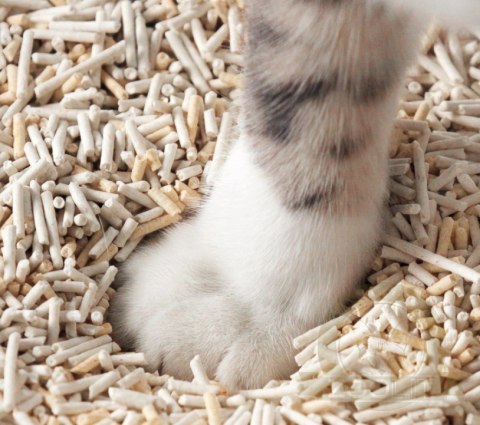 Cat Sand Love4pet Żwirek Zbrylający Tofu Dla Kota 2,5kg 4,3L