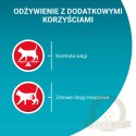 ChatGPT powiedział: Purina One Sterilcat Karma Dla Kota Z Indykiem I Zieloną Fasolką 85g