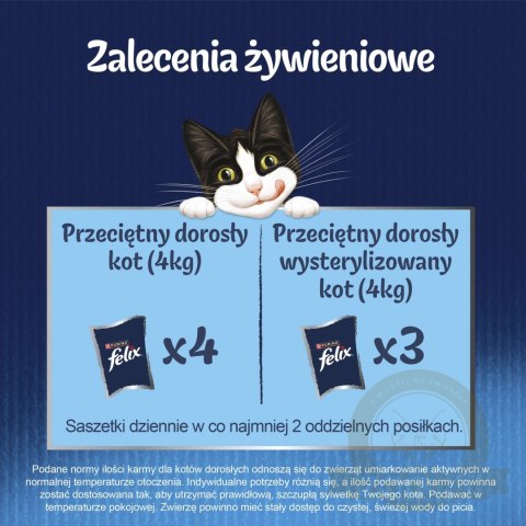 Felix Fantastic Mix Smaków W Galaretce Karma Dla Kota 44x85g