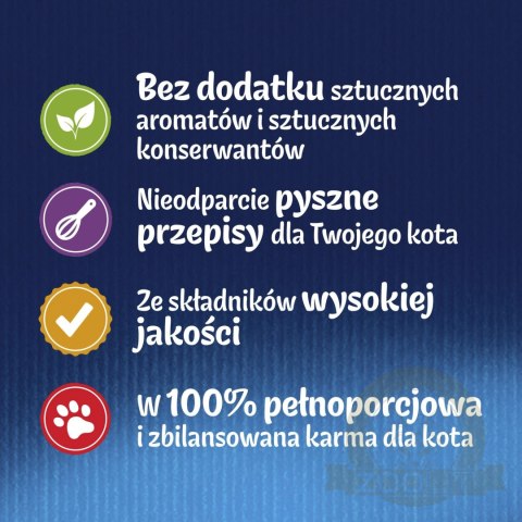 Felix Fantastic Mix Smaków W Galaretce Karma Dla Kota 44x85g