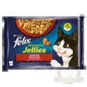 Felix Sensations Jellies Karma Dla Kota Wiejskie Smaki W Galaretce 4x85g