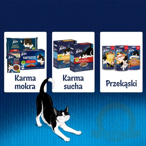 Felix Sensations Sauces Karma Dla Kota Wiejskie Smaki W Sosie 4x85g