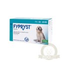 Krka Fypryst Spot On Na Pchły I Kleszcze Dla Psa 20-40kg 1 Pipeta