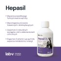 Lab-V Hepasil Dog & Cat Preparat Na Wątrobę Dla Psa I Kota 250ml