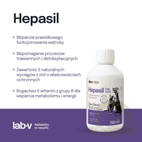 Lab-V Hepasil Dog & Cat Preparat Na Wątrobę Dla Psa I Kota 250ml