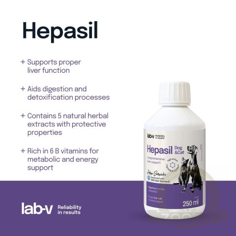 Lab-V Hepasil Dog & Cat Preparat Na Wątrobę Dla Psa I Kota 250ml