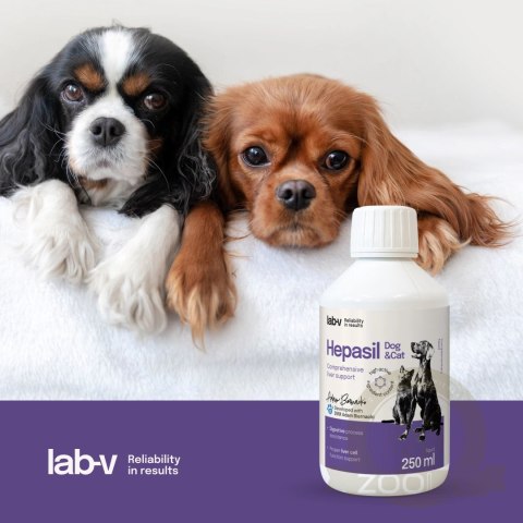 Lab-V Hepasil Dog & Cat Preparat Na Wątrobę Dla Psa I Kota 250ml
