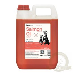 Lab-V Olej Z Łososia 100% Dla Psa I Kota W Każdym Wieku 5000ml Tłoczony Na Zimno