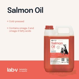 Lab-V Olej Z Łososia 100% Dla Psa I Kota W Każdym Wieku 5000ml Tłoczony Na Zimno