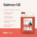 Lab-V Olej Z Łososia 100% Dla Psa I Kota W Każdym Wieku 5000ml Tłoczony Na Zimno