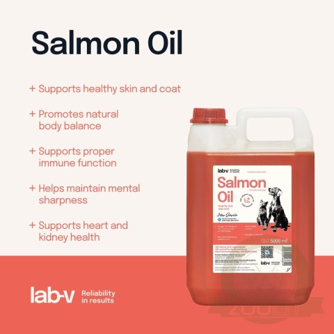 Lab-V Olej Z Łososia 100% Dla Psa I Kota W Każdym Wieku 5000ml Tłoczony Na Zimno