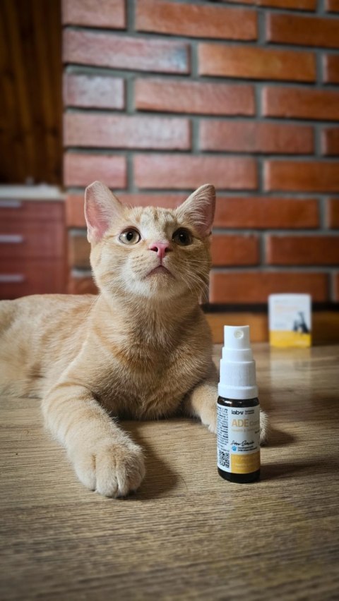 Lab-v ADE Complex Kompleks Witamin A, D I E W Formie Spreju Dla Psów I Kotów 2 x 10ml