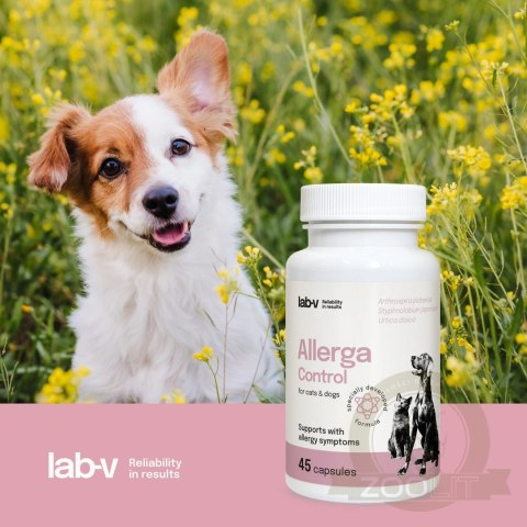 Lab-v Allerga Control Wsparcie Przy Objawach Alergii 45 Kapsułek