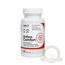 Lab-v Arthro Comfort Kompleksowe Wsparcie Zdrowia Stawów I Układu Ruchu Dla Psów I Kotów 45 Kapsułek
