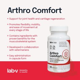 Lab-v Arthro Comfort Kompleksowe Wsparcie Zdrowia Stawów I Układu Ruchu Dla Psów I Kotów 45 Kapsułek