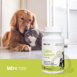 Lab-v Calm Support Wspomaganie Przy Objawach Stresu I Zaburzeniach Behawioralnych 45 Kapsułek