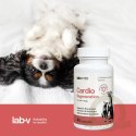 Lab-v Cardio Regeneration Wsparcie Prawidłowego Funkcjonowania Pracy Serca I Układu Krążenia Dla Psów I Kotów 45 Kapsułek
