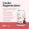 Lab-v Cardio Regeneration Wsparcie Prawidłowego Funkcjonowania Pracy Serca I Układu Krążenia Dla Psów I Kotów 45 Kapsułek