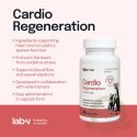 Lab-v Cardio Regeneration Wsparcie Prawidłowego Funkcjonowania Pracy Serca I Układu Krążenia Dla Psów I Kotów 45 Kapsułek