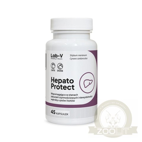 Lab-v Hepato Protect Wspomaganie Funkcji Wątroby Dla Psów I Kotów 45 Kapsułek
