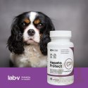 Lab-v Hepato Protect Wspomaganie Funkcji Wątroby Dla Psów I Kotów 45 Kapsułek