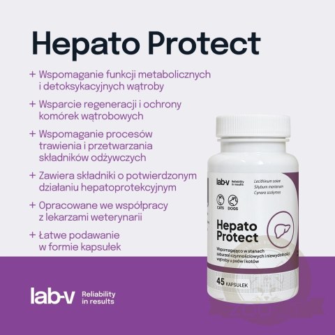 Lab-v Hepato Protect Wspomaganie Funkcji Wątroby Dla Psów I Kotów 45 Kapsułek
