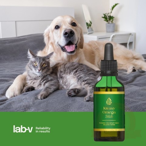 Lab-v Kwasy Tłuszczowe Omega 3 i 6 stosowane na ogólną poprawę stanu zdrowia oraz sierści i skóry dla psów i kotów 100ml
