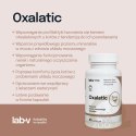Lab-v Oxalatic Wsparcie Dla Kotów Przy Tworzeniu Się Kamieni Oksalatowych 45 Kapsułek
