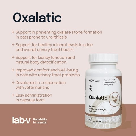 Lab-v Oxalatic Wsparcie Dla Kotów Przy Tworzeniu Się Kamieni Oksalatowych 45 Kapsułek