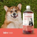 Lab-v Olej Z Łososia 100% Dla Psa i Kota 1000ml