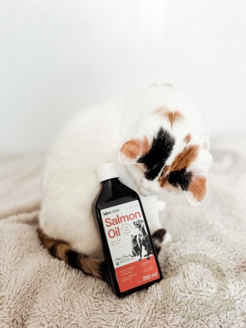 Lab-v Olej Z Łososia 100% Dla Psa i Kota 250ml