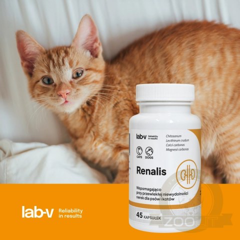 Lab-v Renalis Wsparcie Przy Przewlekłej Niewydolności Nerek Dla Psów I Kotów 45 Kapsułek